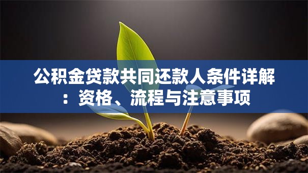 公积金贷款共同还款人条件详解：资格、流程与注意事项