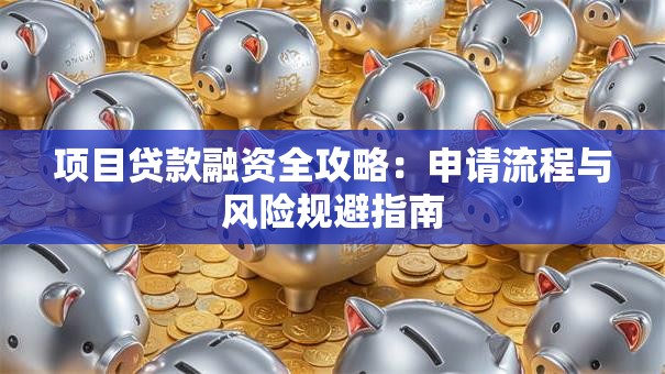 项目贷款融资全攻略：申请流程与风险规避指南