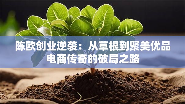 陈欧创业逆袭：从草根到聚美优品电商传奇的破局之路