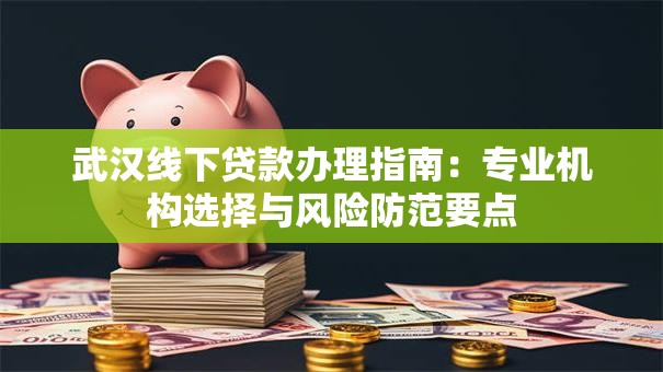 武汉线下贷款办理指南：专业机构选择与风险防范要点
