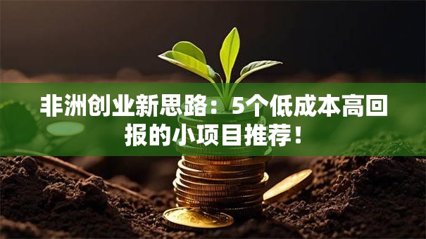 非洲创业新思路：5个低成本高回报的小项目推荐！