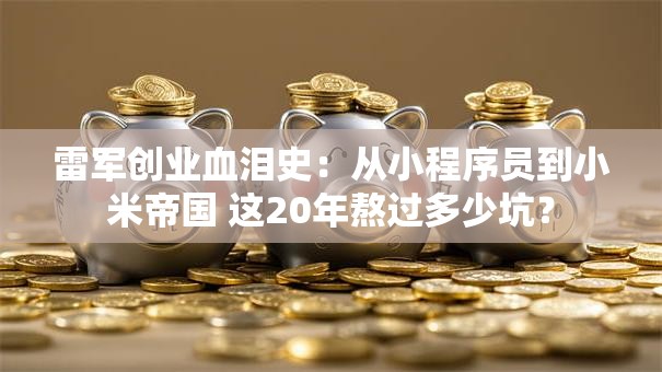 雷军创业血泪史：从小程序员到小米帝国 这20年熬过多少坑？