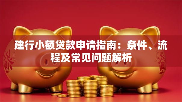 建行小额贷款申请指南：条件、流程及常见问题解析