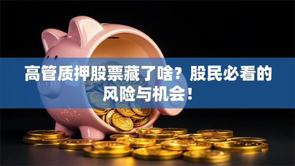高管质押股票藏了啥？股民必看的风险与机会！