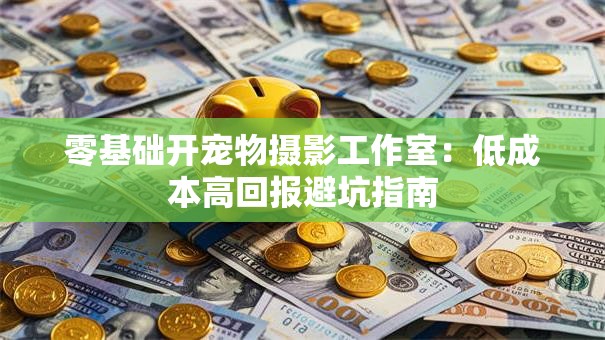 零基础开宠物摄影工作室：低成本高回报避坑指南