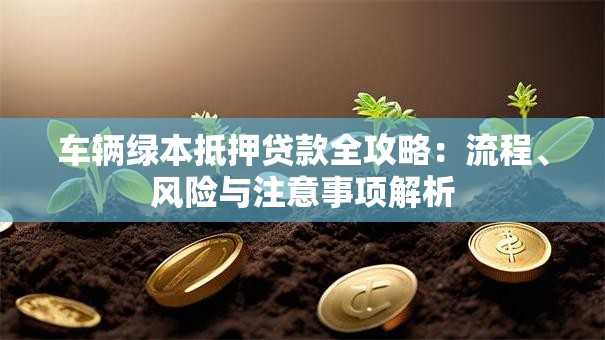 车辆绿本抵押贷款全攻略：流程、风险与注意事项解析