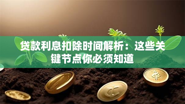 贷款利息扣除时间解析：这些关键节点你必须知道