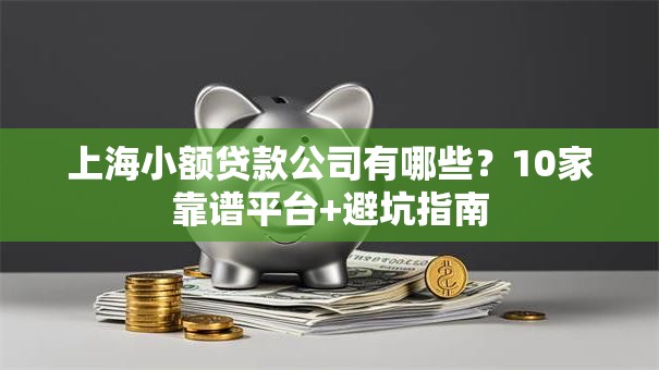 上海小额贷款公司有哪些？10家靠谱平台+避坑指南