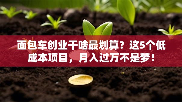面包车创业干啥最划算？这5个低成本项目，月入过万不是梦！