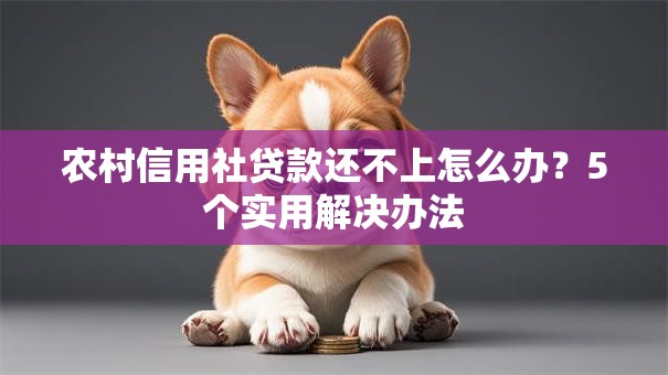 农村信用社贷款还不上怎么办？5个实用解决办法