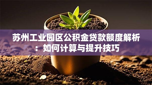 苏州工业园区公积金贷款额度解析：如何计算与提升技巧