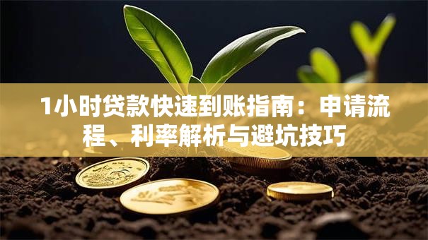 1小时贷款快速到账指南：申请流程、利率解析与避坑技巧