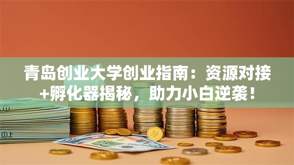 青岛创业大学创业指南：资源对接+孵化器揭秘，助力小白逆袭！
