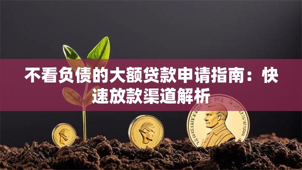 不看负债的大额贷款申请指南：快速放款渠道解析