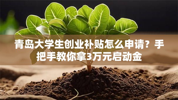青岛大学生创业补贴怎么申请？手把手教你拿3万元启动金