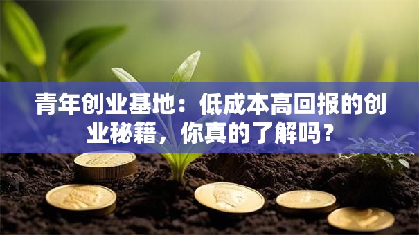 青年创业基地：低成本高回报的创业秘籍，你真的了解吗？