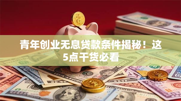 青年创业无息贷款条件揭秘！这5点干货必看