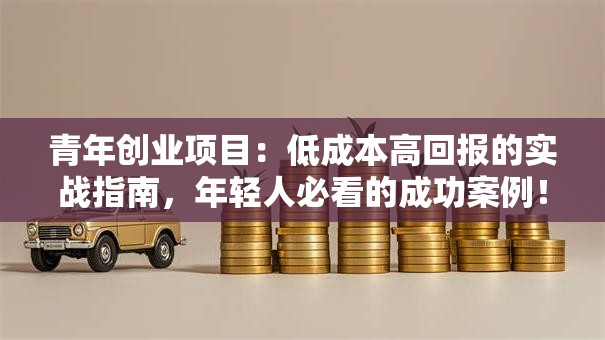 青年创业项目：低成本高回报的实战指南，年轻人必看的成功案例！