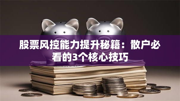 股票风控能力提升秘籍：散户必看的3个核心技巧