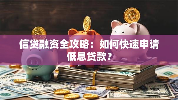信贷融资全攻略：如何快速申请低息贷款？
