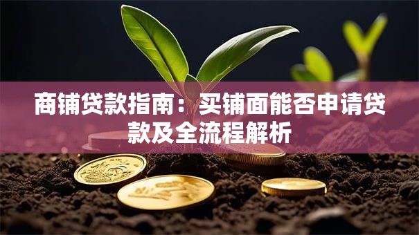 商铺贷款指南：买铺面能否申请贷款及全流程解析