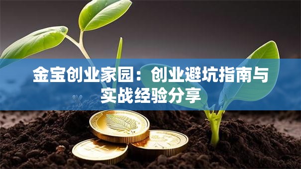 金宝创业家园：创业避坑指南与实战经验分享