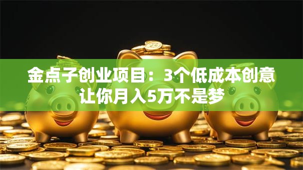 金点子创业项目：3个低成本创意让你月入5万不是梦