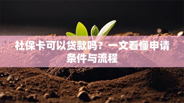 社保卡可以贷款吗？一文看懂申请条件与流程