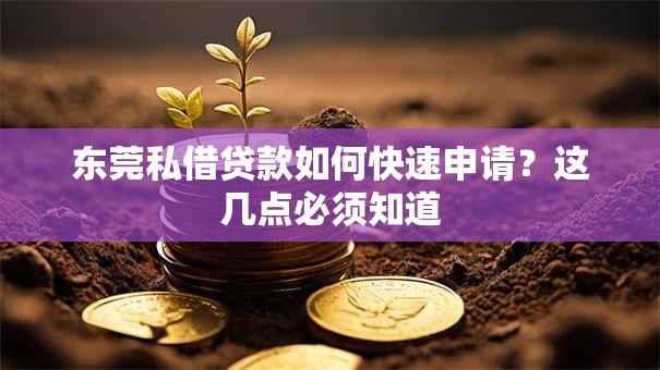 东莞私借贷款如何快速申请？这几点必须知道