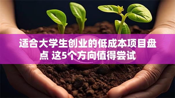 适合大学生创业的低成本项目盘点 这5个方向值得尝试