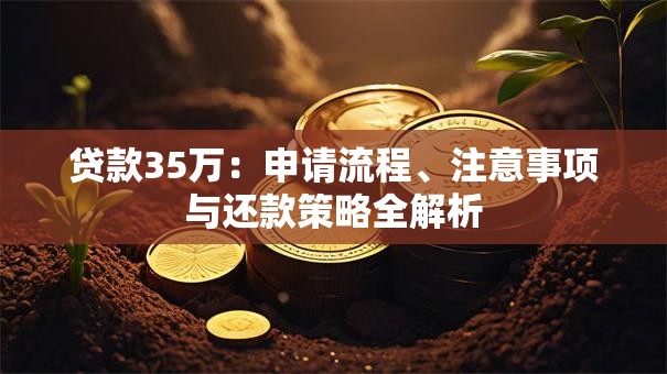 贷款35万：申请流程、注意事项与还款策略全解析