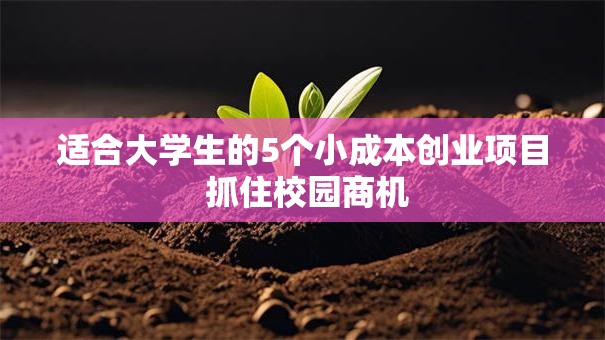 适合大学生的5个小成本创业项目 抓住校园商机