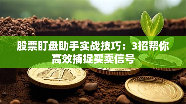 股票盯盘助手实战技巧：3招帮你高效捕捉买卖信号