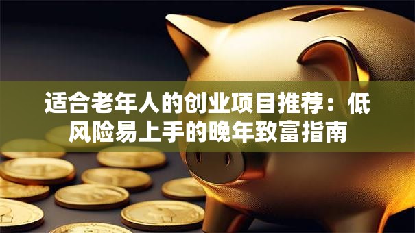 适合老年人的创业项目推荐：低风险易上手的晚年致富指南