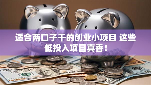 适合两口子干的创业小项目 这些低投入项目真香！