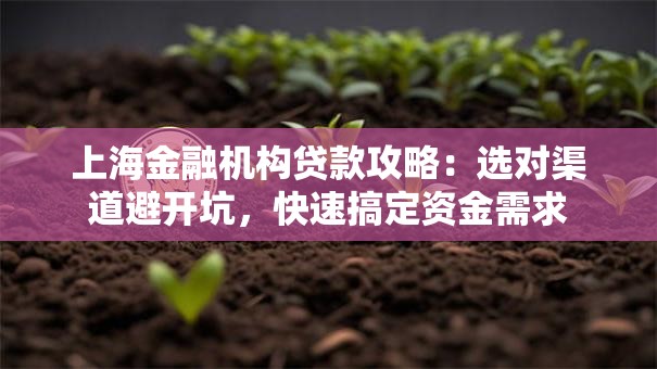 上海金融机构贷款攻略：选对渠道避开坑，快速搞定资金需求