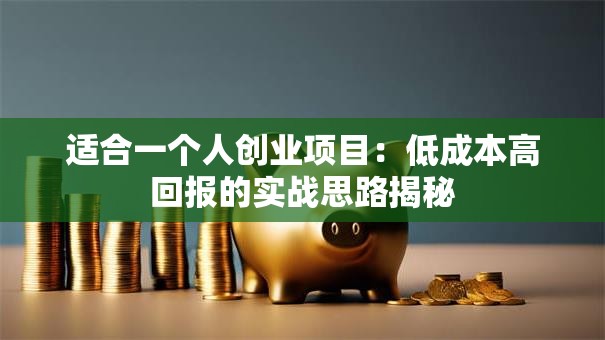 适合一个人创业项目：低成本高回报的实战思路揭秘