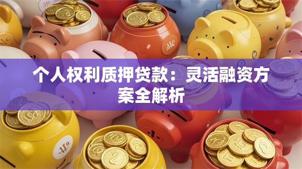 个人权利质押贷款：灵活融资方案全解析