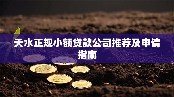 天水正规小额贷款公司推荐及申请指南