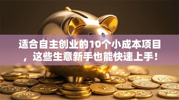 适合自主创业的10个小成本项目，这些生意新手也能快速上手！