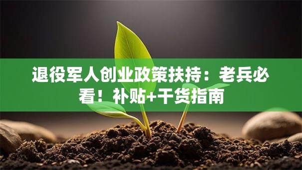 退役军人创业政策扶持：老兵必看！补贴+干货指南