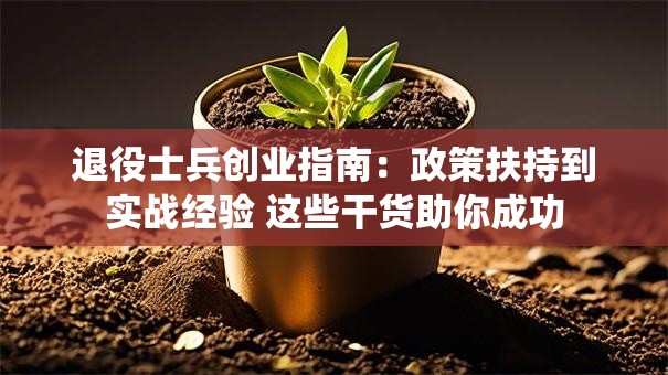 退役士兵创业指南：政策扶持到实战经验 这些干货助你成功