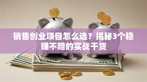 销售创业项目怎么选？揭秘3个稳赚不赔的实战干货