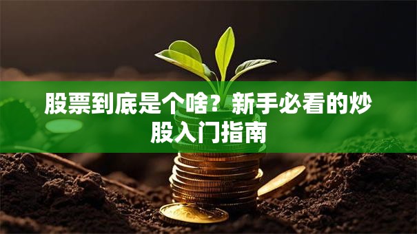 股票到底是个啥？新手必看的炒股入门指南