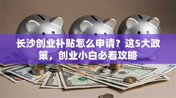 长沙创业补贴怎么申请？这5大政策，创业小白必看攻略