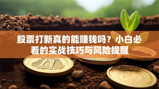 股票打新真的能赚钱吗？小白必看的实战技巧与风险提醒