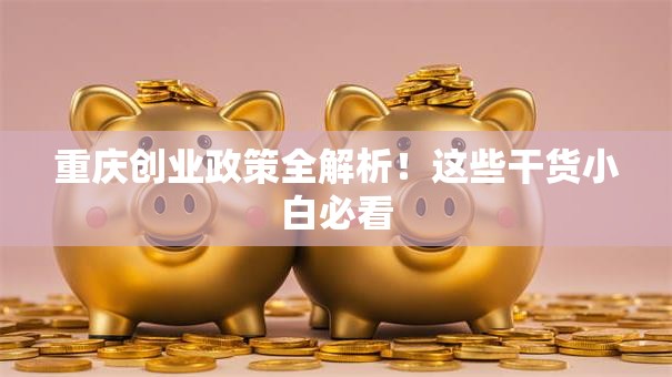 重庆创业政策全解析！这些干货小白必看