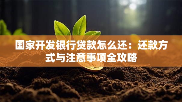 国家开发银行贷款怎么还：还款方式与注意事项全攻略