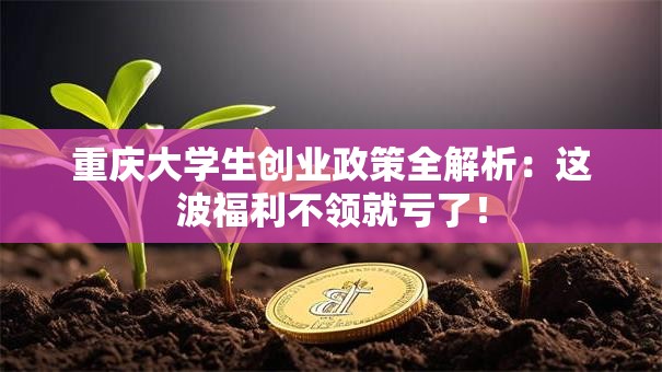 重庆大学生创业政策全解析：这波福利不领就亏了！