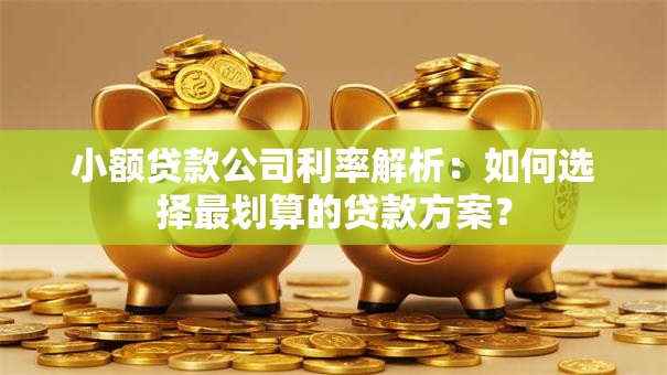 小额贷款公司利率解析：如何选择最划算的贷款方案？